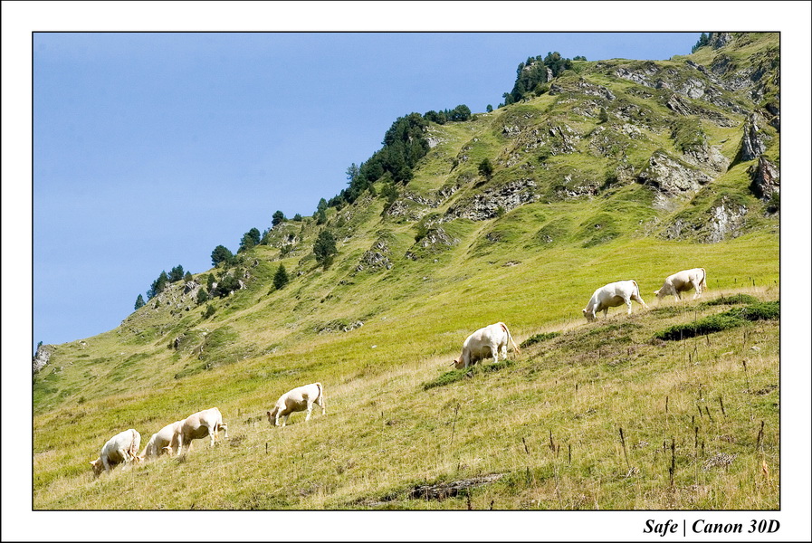 Sept 06 Tarbes - Ballade gaubie 38